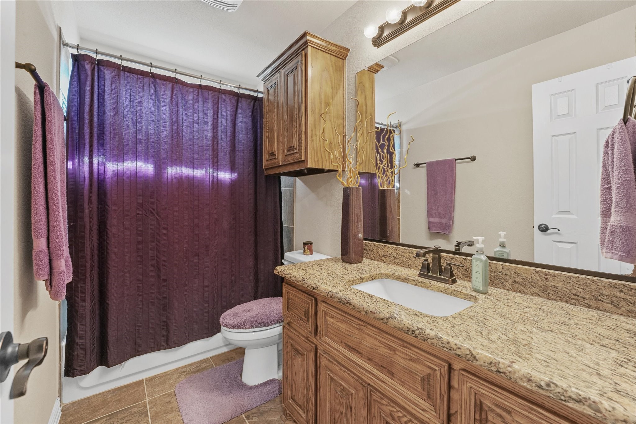 305 Fountain Creek Court Ovilla TX 75154