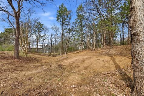 41 Cedar Bayou Boulevard Gordonville TX 76245