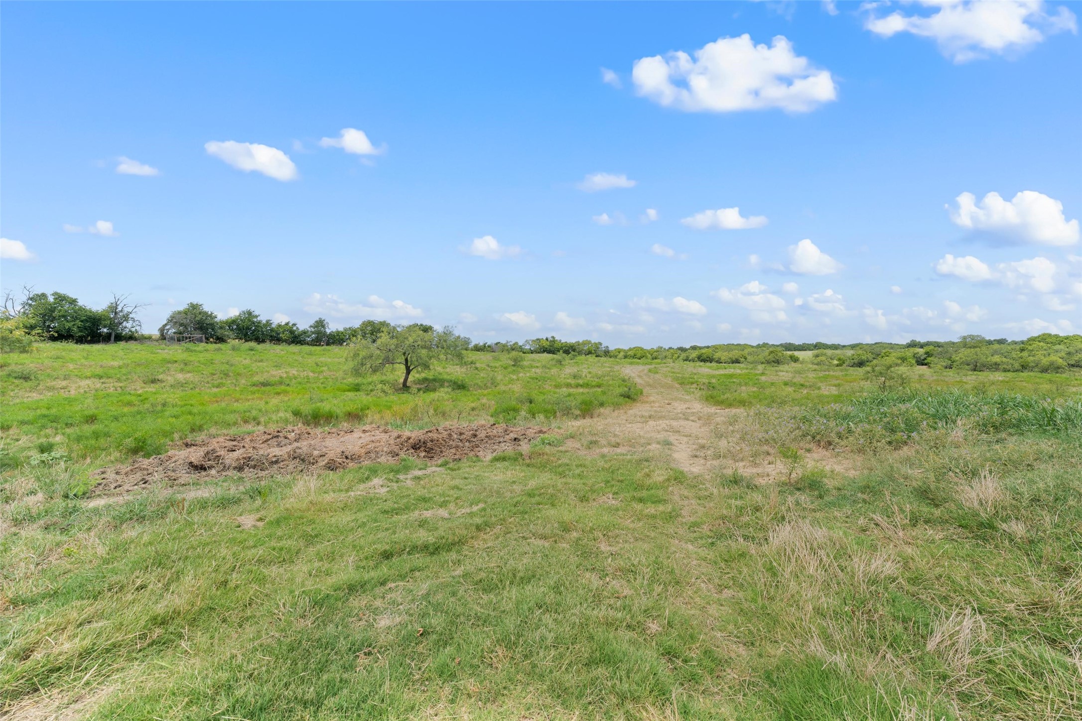 771 Hcr 2233 West TX 76691