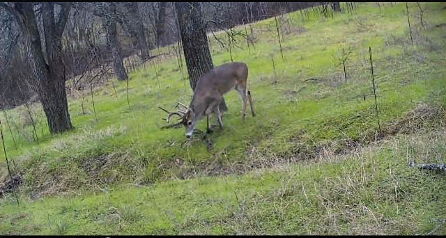 771 Hcr 2233 West TX 76691