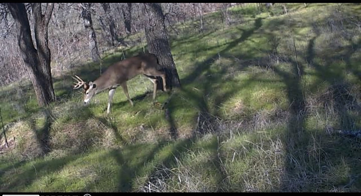 771 Hcr 2233 West TX 76691
