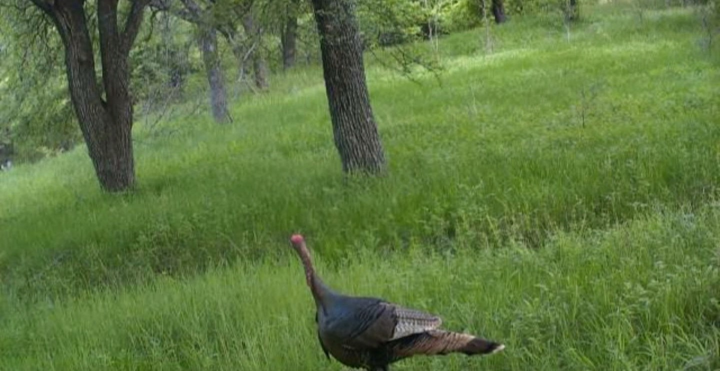 771 Hcr 2233 West TX 76691