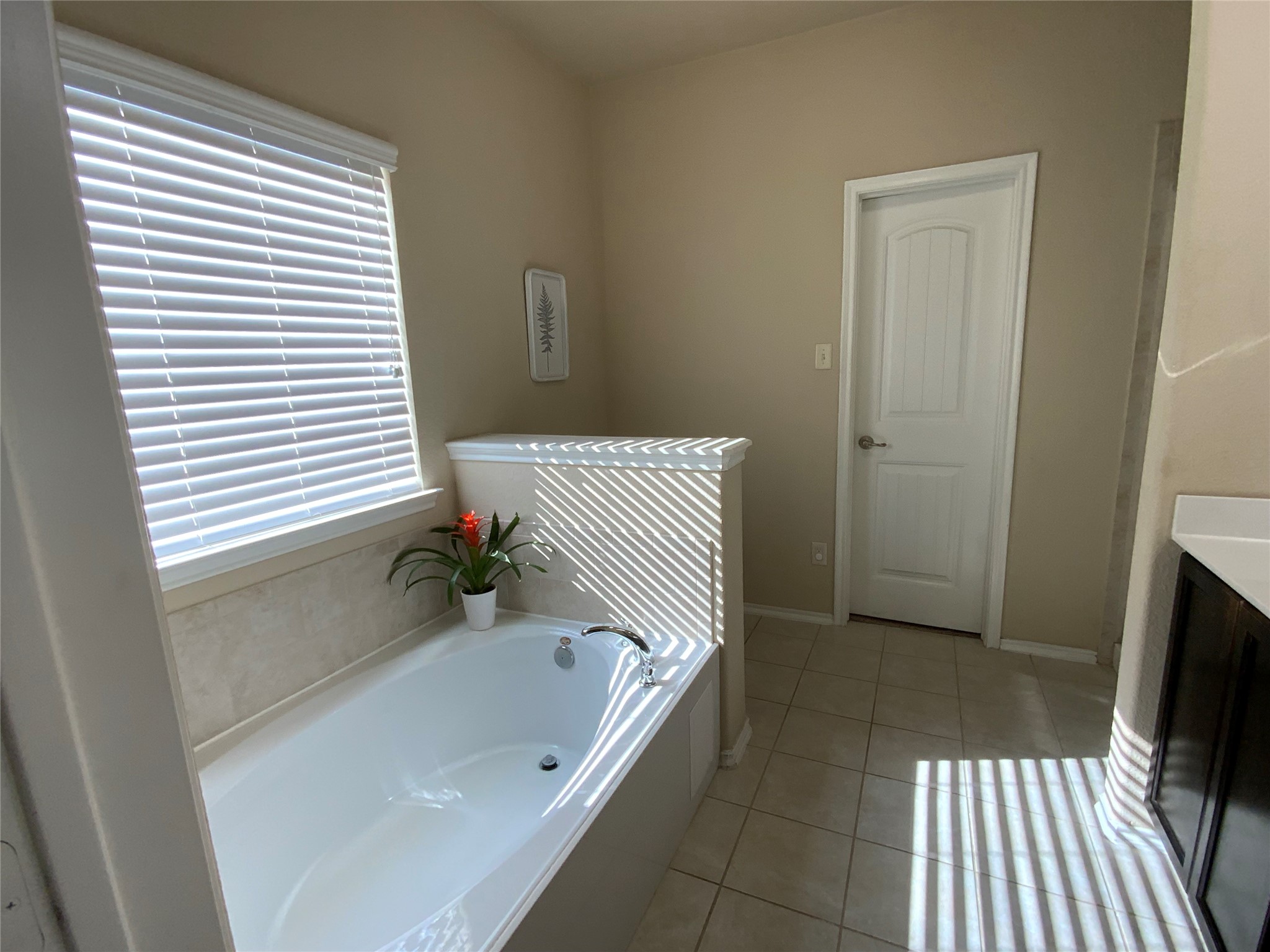 9817 Cottontail Lane Mckinney TX 75071