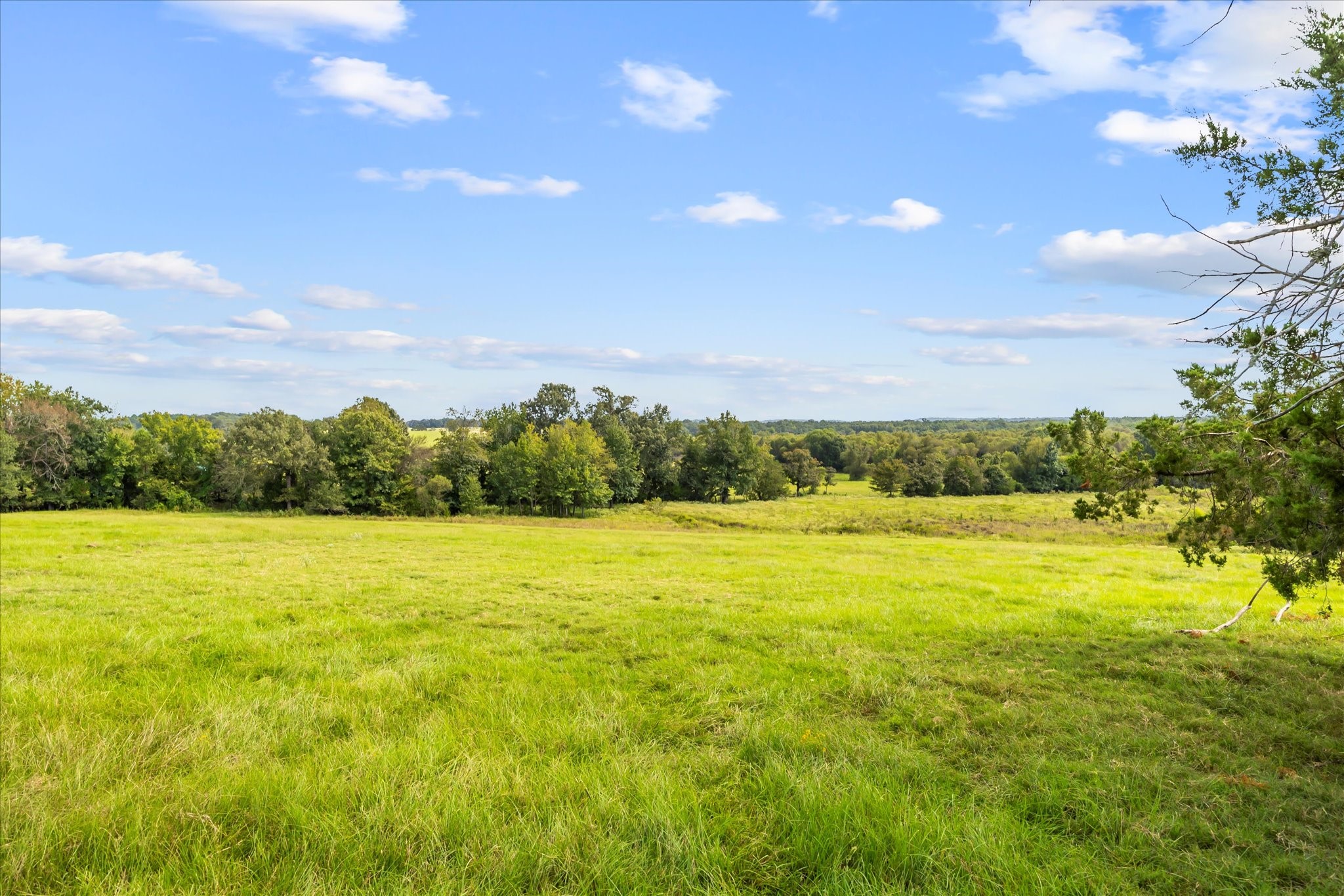 11990 County Road 3513 Brownsboro TX 75756