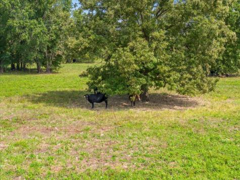 11990 County Road 3513 Brownsboro TX 75756