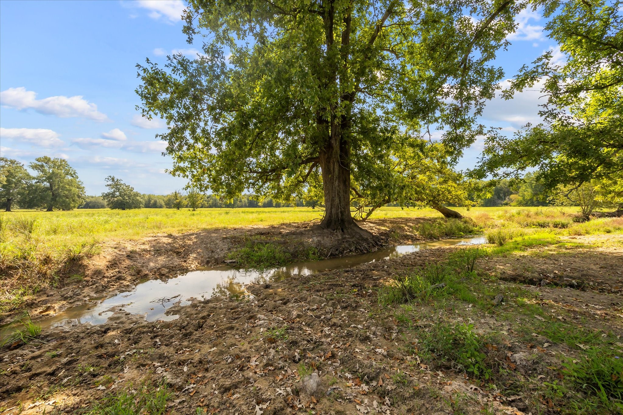 11990 County Road 3513 Brownsboro TX 75756