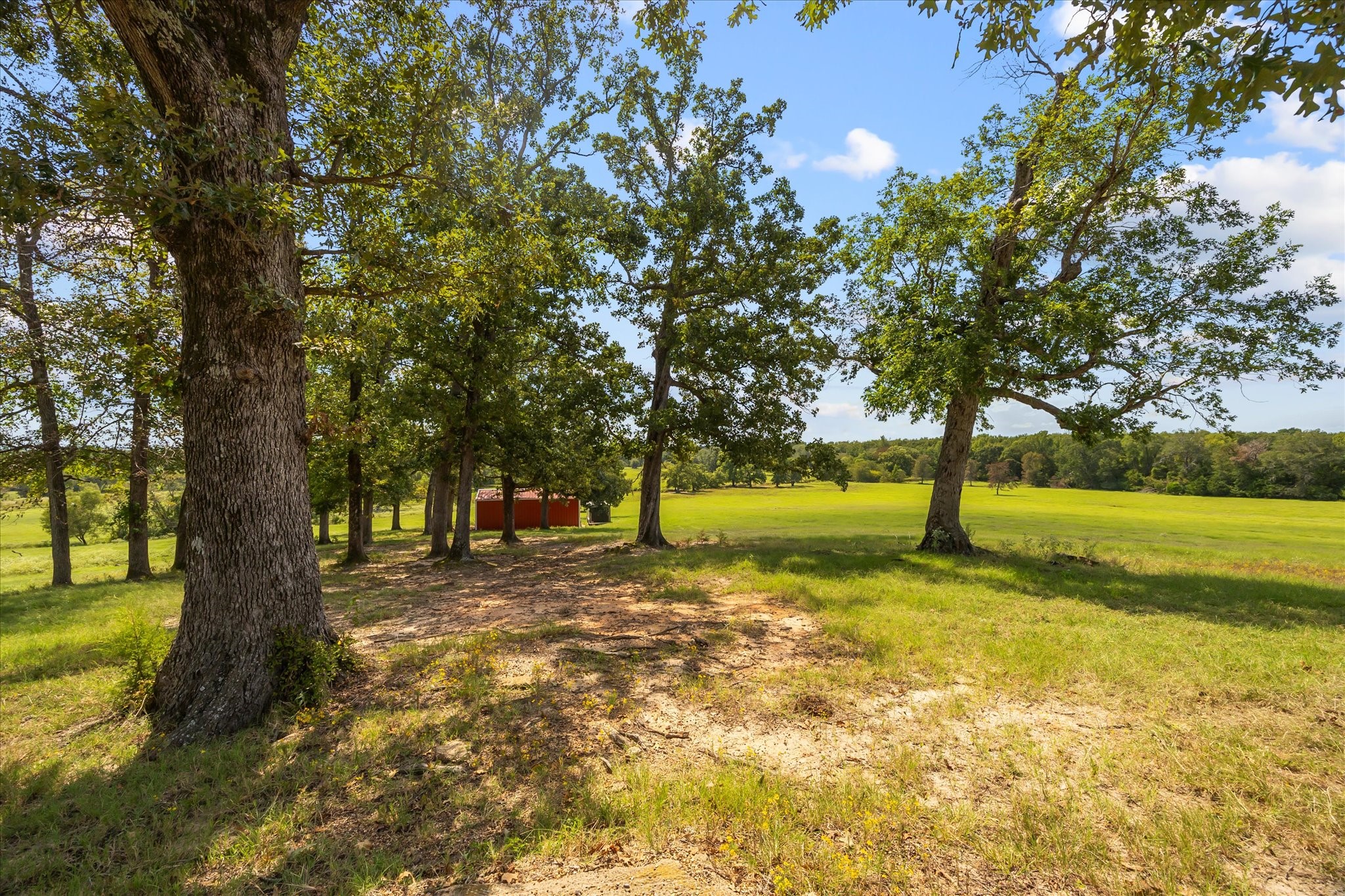 11990 County Road 3513 Brownsboro TX 75756