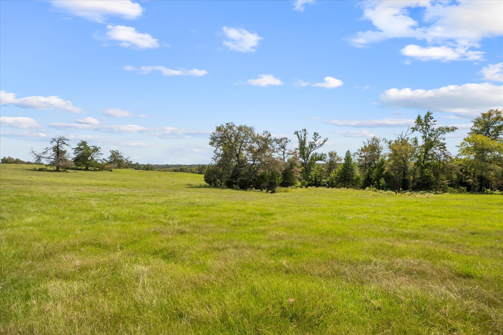 11990 County Road 3513 Brownsboro TX 75756