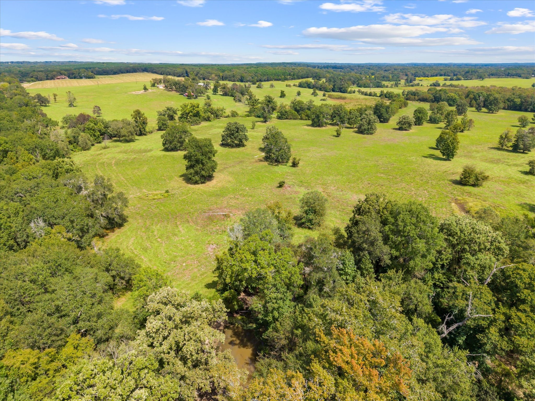 11990 County Road 3513 Brownsboro TX 75756