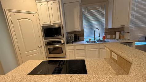 11020 Coralberry Drive Frisco TX 75033
