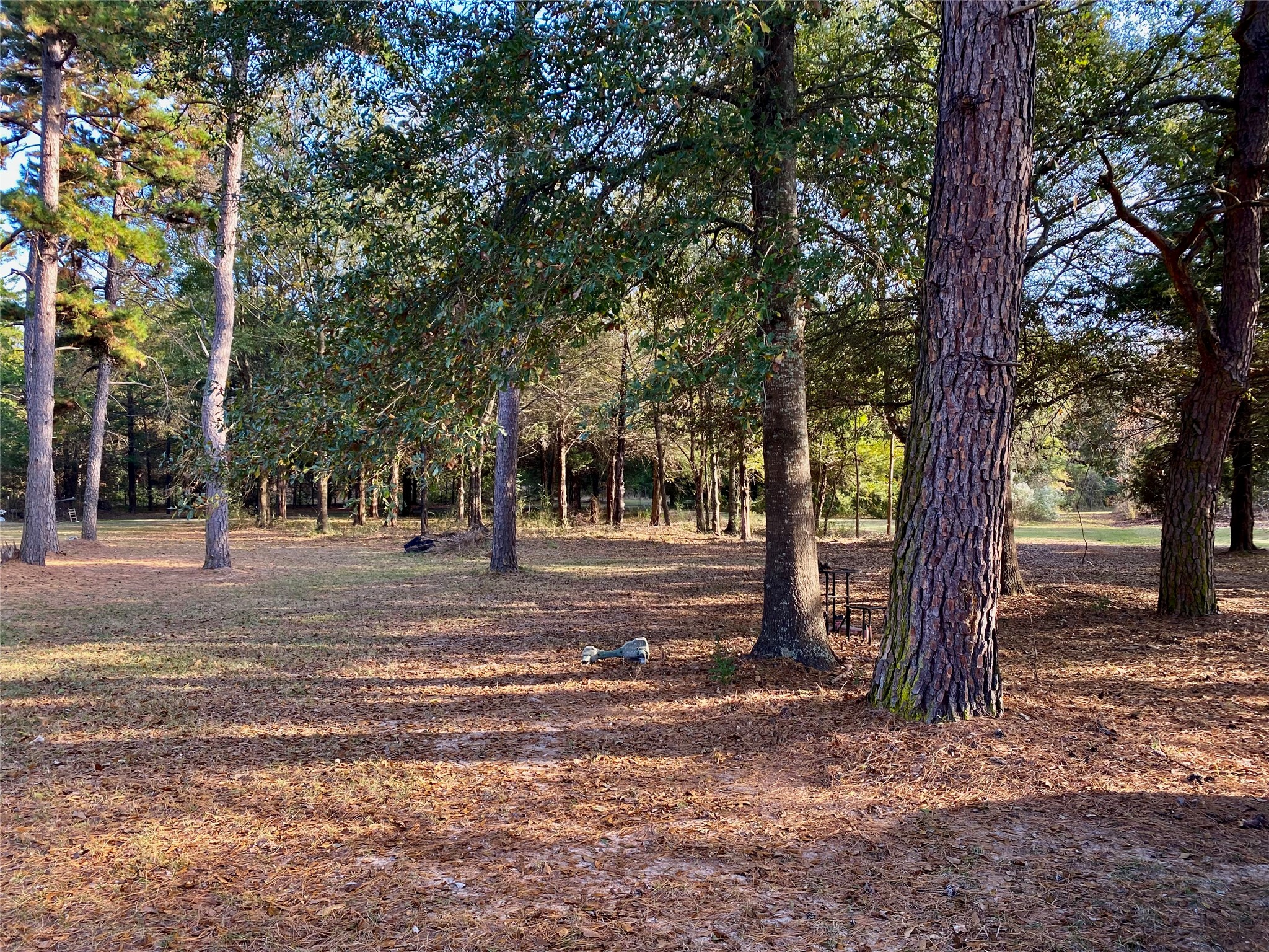 3820 County Road 4930 Quitman TX 75783