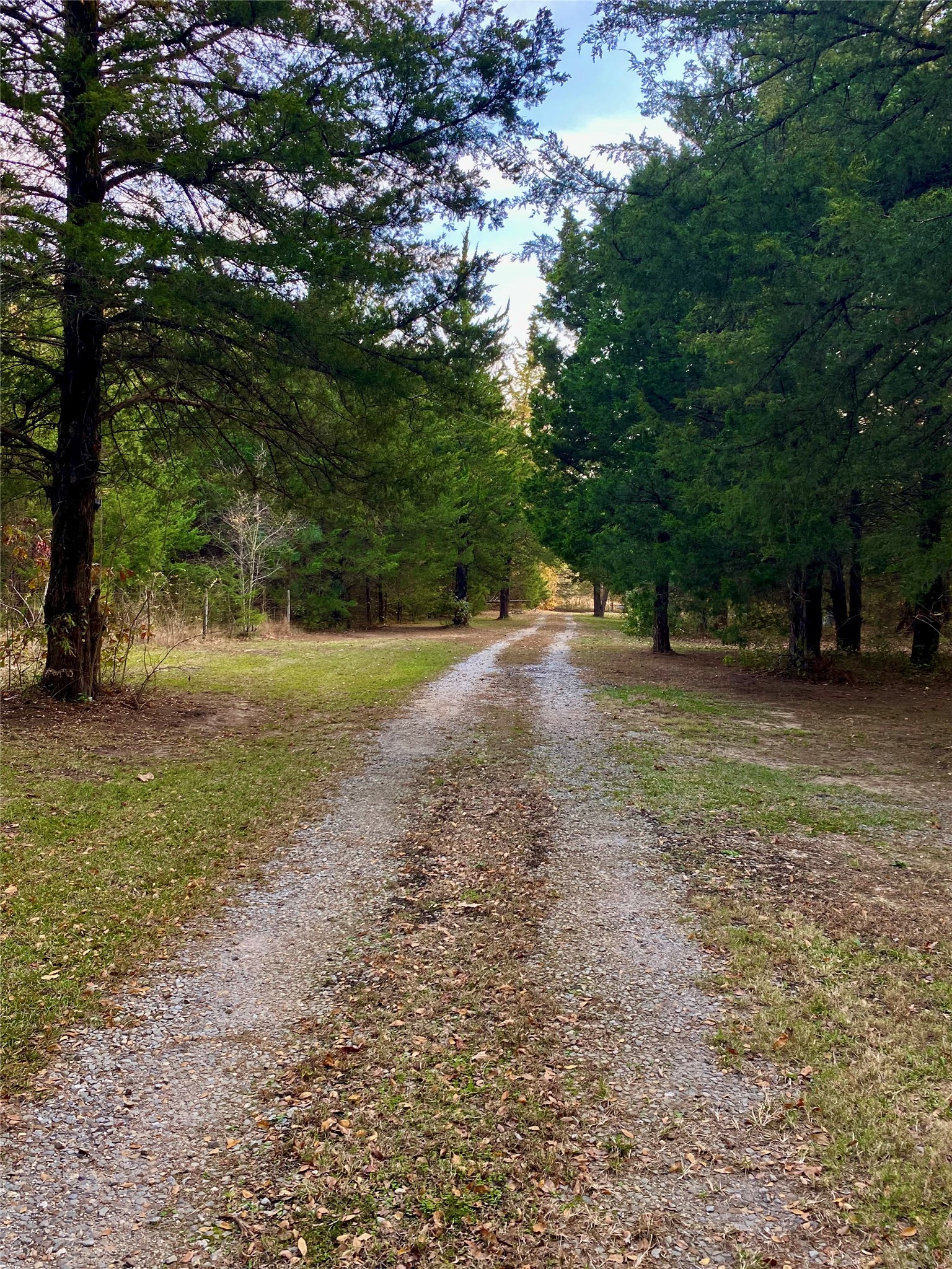 3820 County Road 4930 Quitman TX 75783