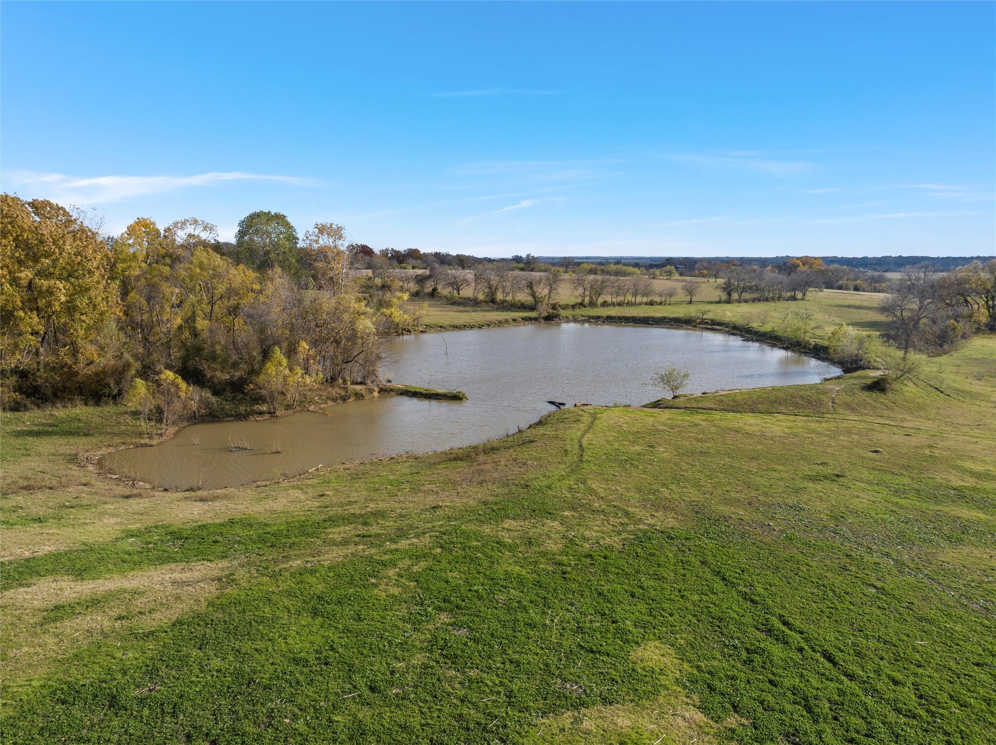 1170 Lumkins Road Forreston TX 76041