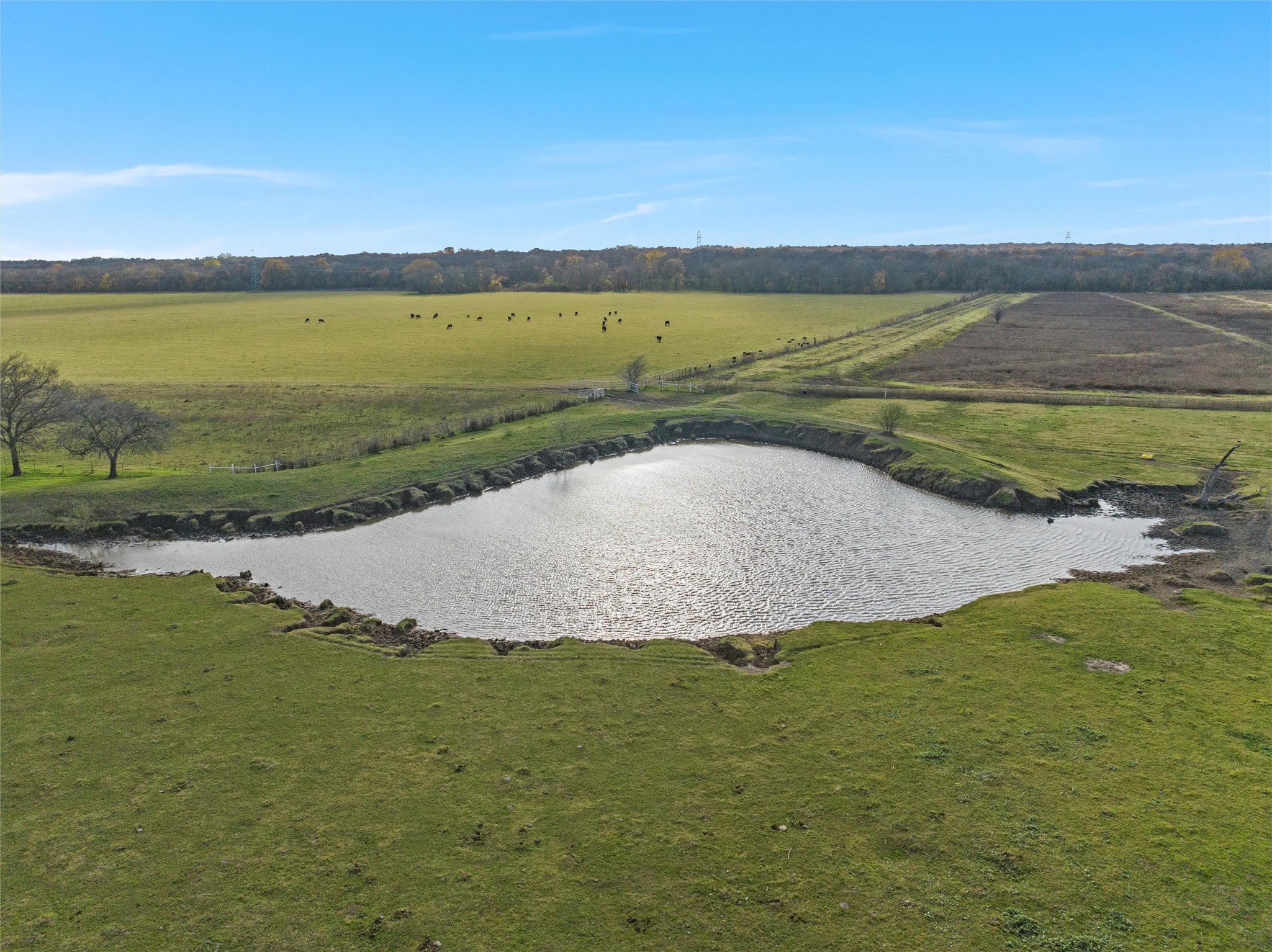 1170 Lumkins Road Forreston TX 76041