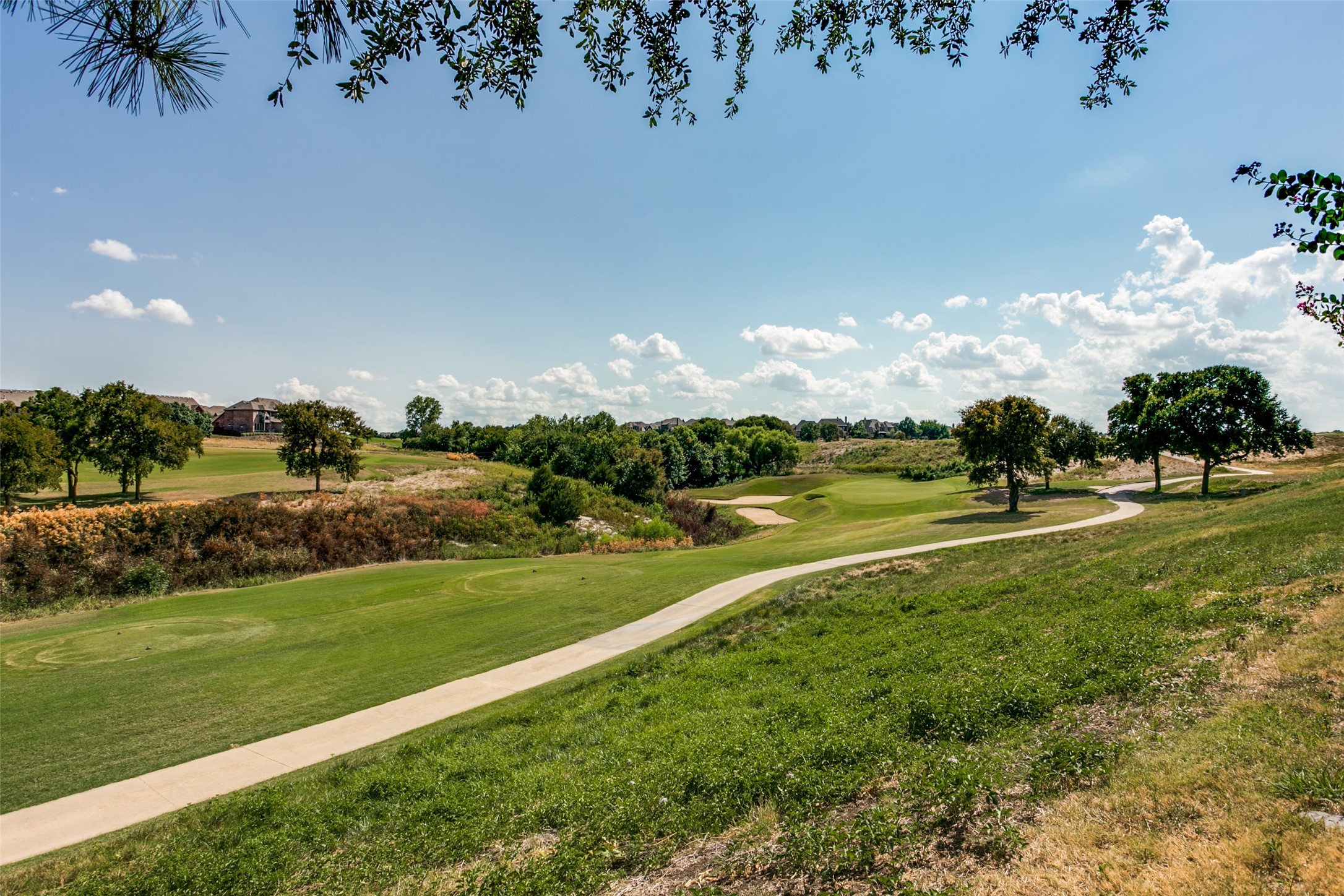 2616 Black Canyon Drive Mckinney TX 75072