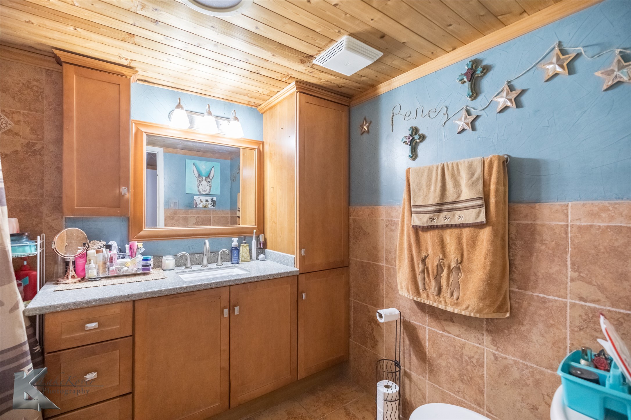 10001 County Road 379 Hawley TX 79525