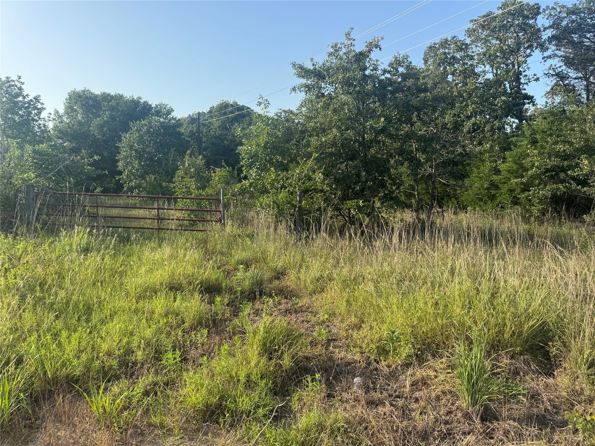 335 Fm 80 Teague TX 75860