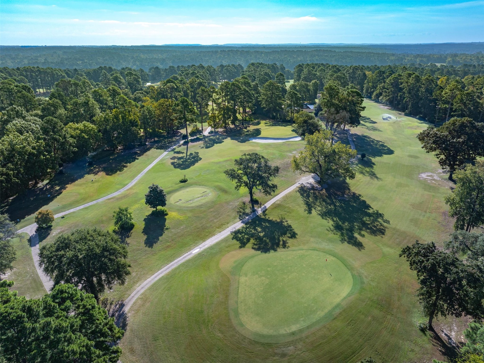 442 Greenbriar Trail Holly Lake Ranch TX 75765