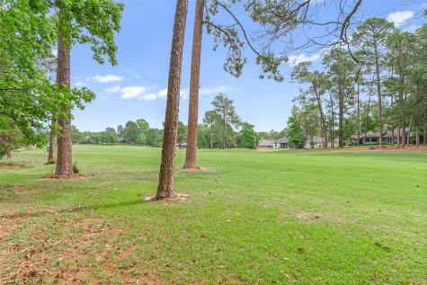 442 Greenbriar Trail Holly Lake Ranch TX 75765