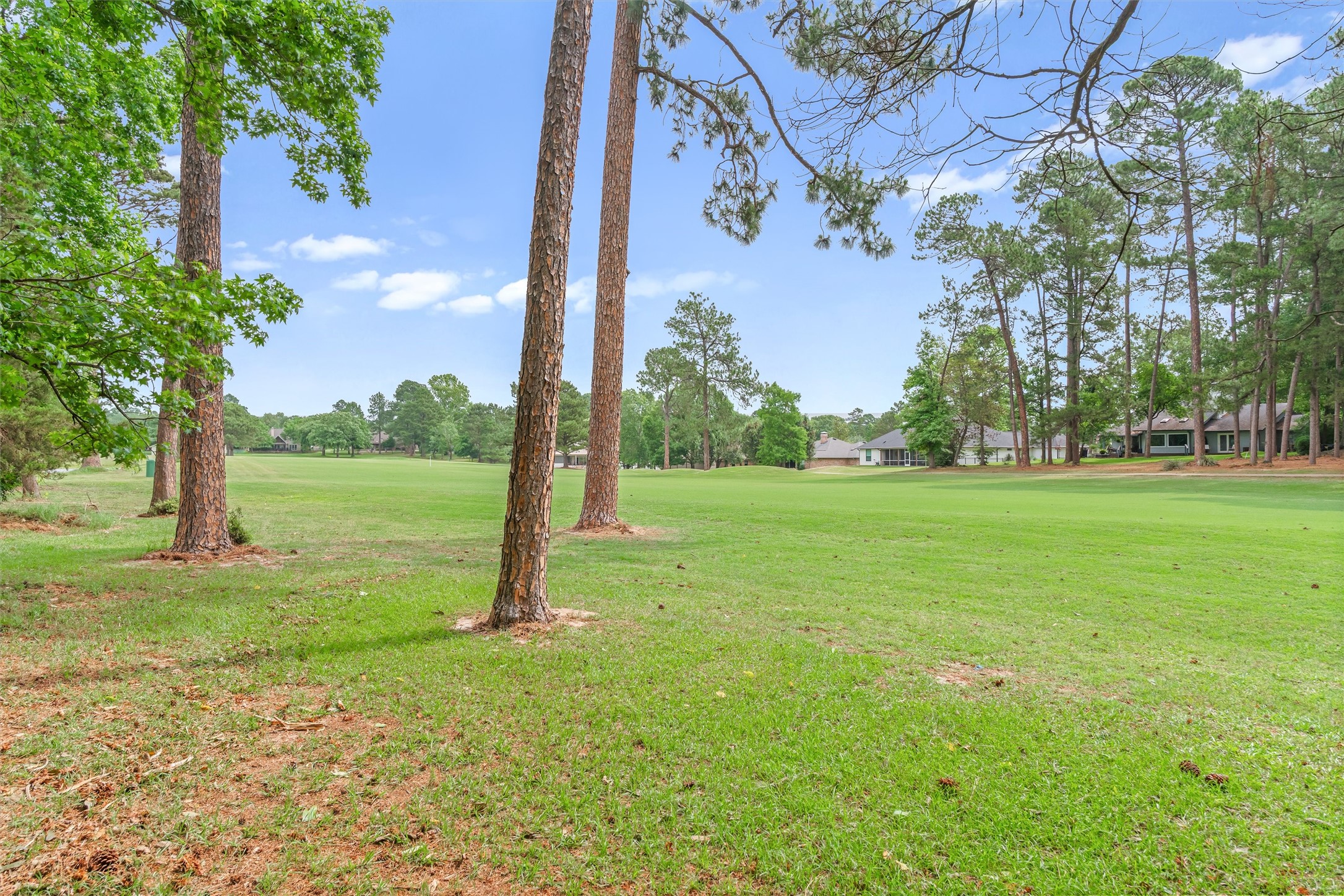 442 Greenbriar Trail Holly Lake Ranch TX 75765