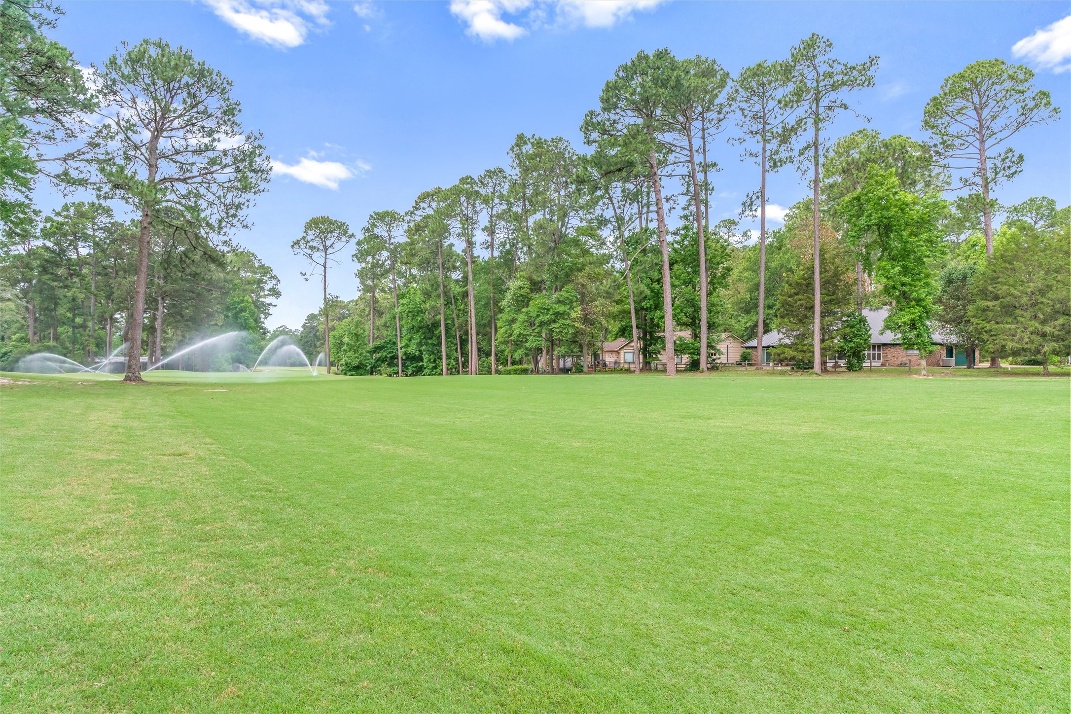 442 Greenbriar Trail Holly Lake Ranch TX 75765