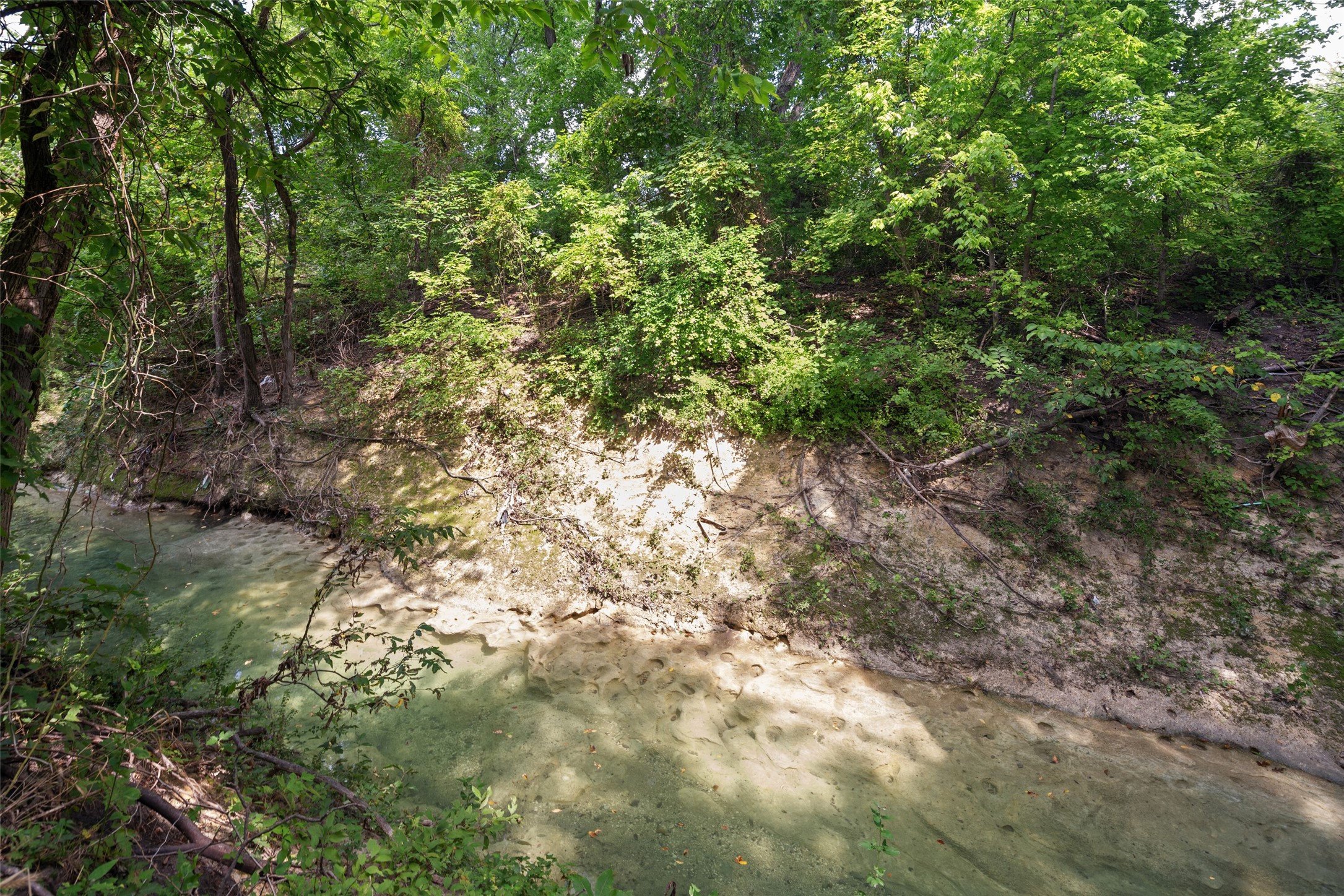 10950 Custer Trail Frisco TX 75035