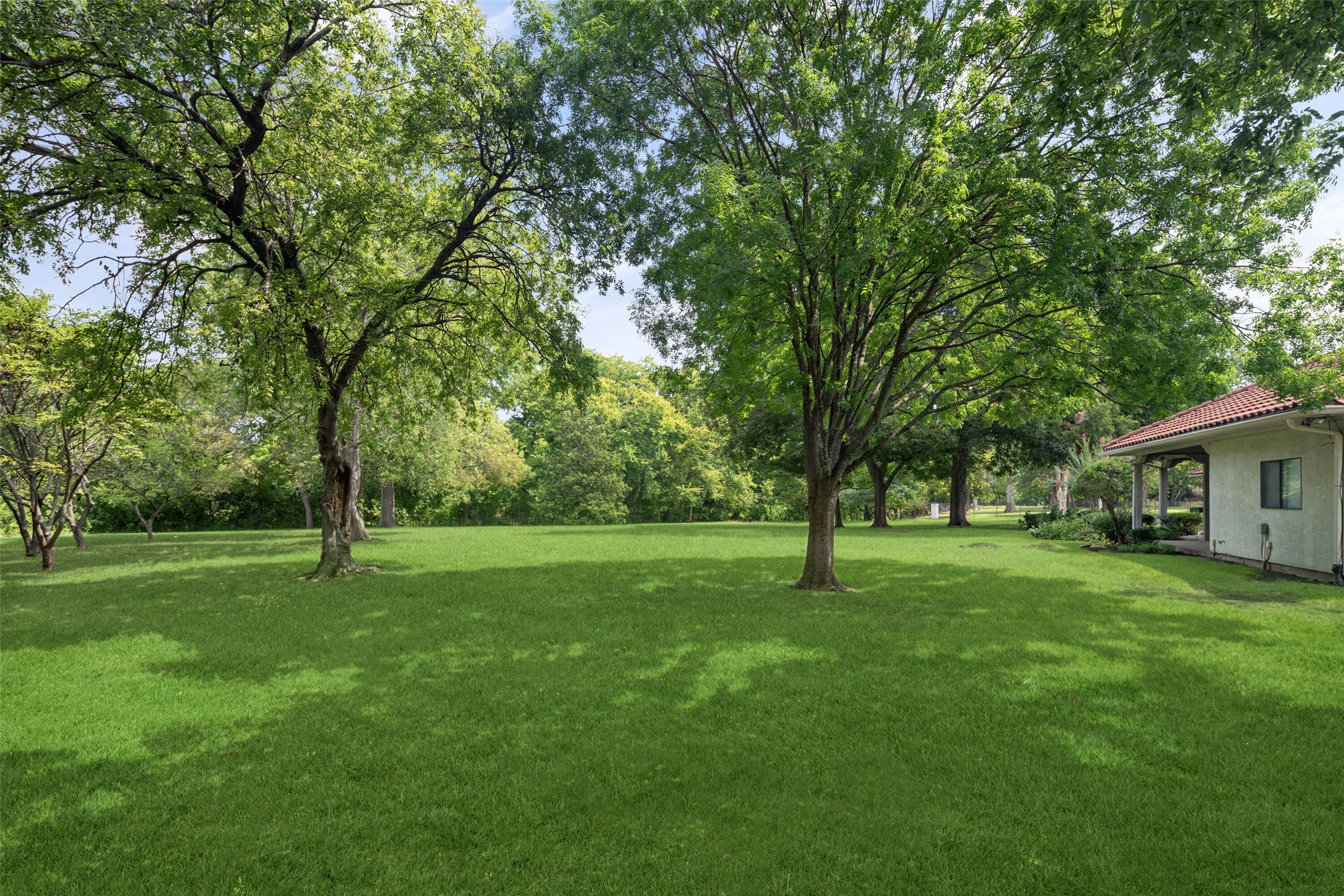 10950 Custer Trail Frisco TX 75035