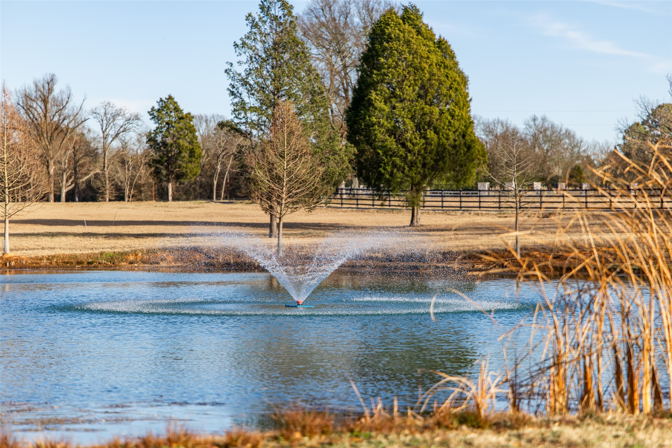0 Barron Caney City TX 75148