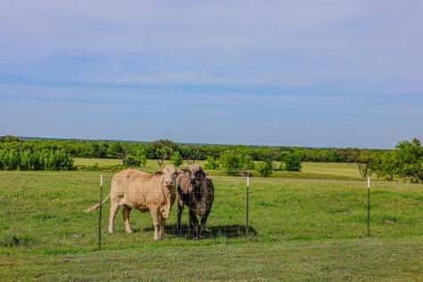 6416 County Road 146 Lipan TX 76462