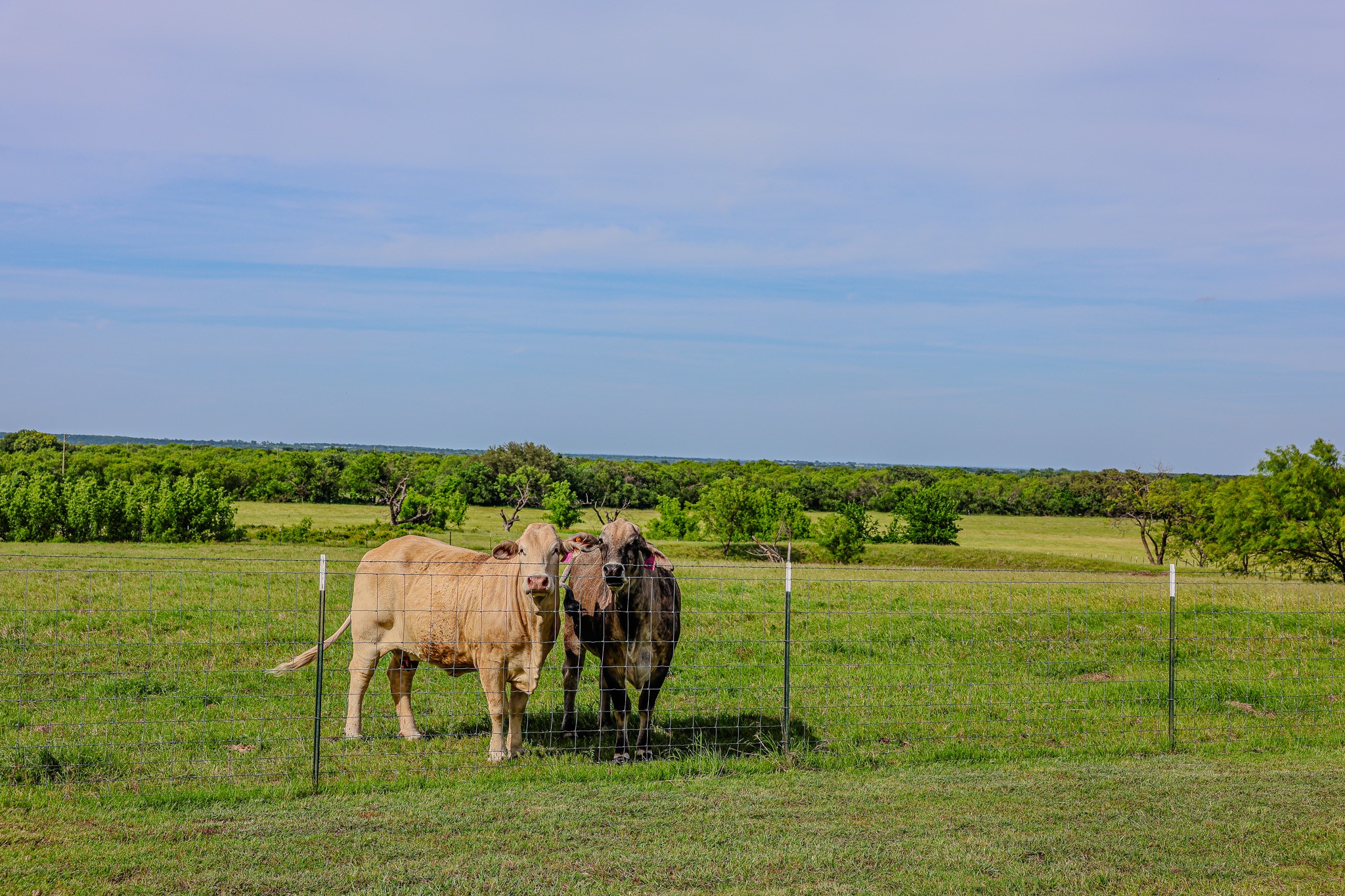 6416 County Road 146 Lipan TX 76462