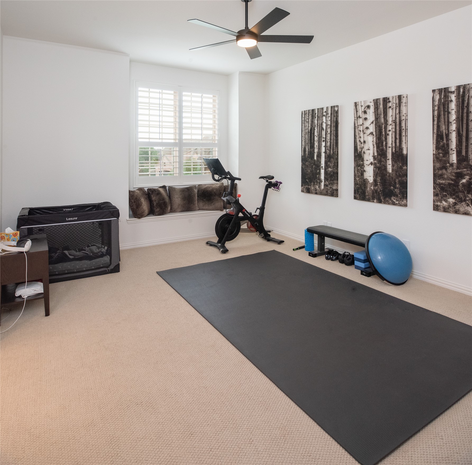 2749 Casa Grande Way Celina TX 75009