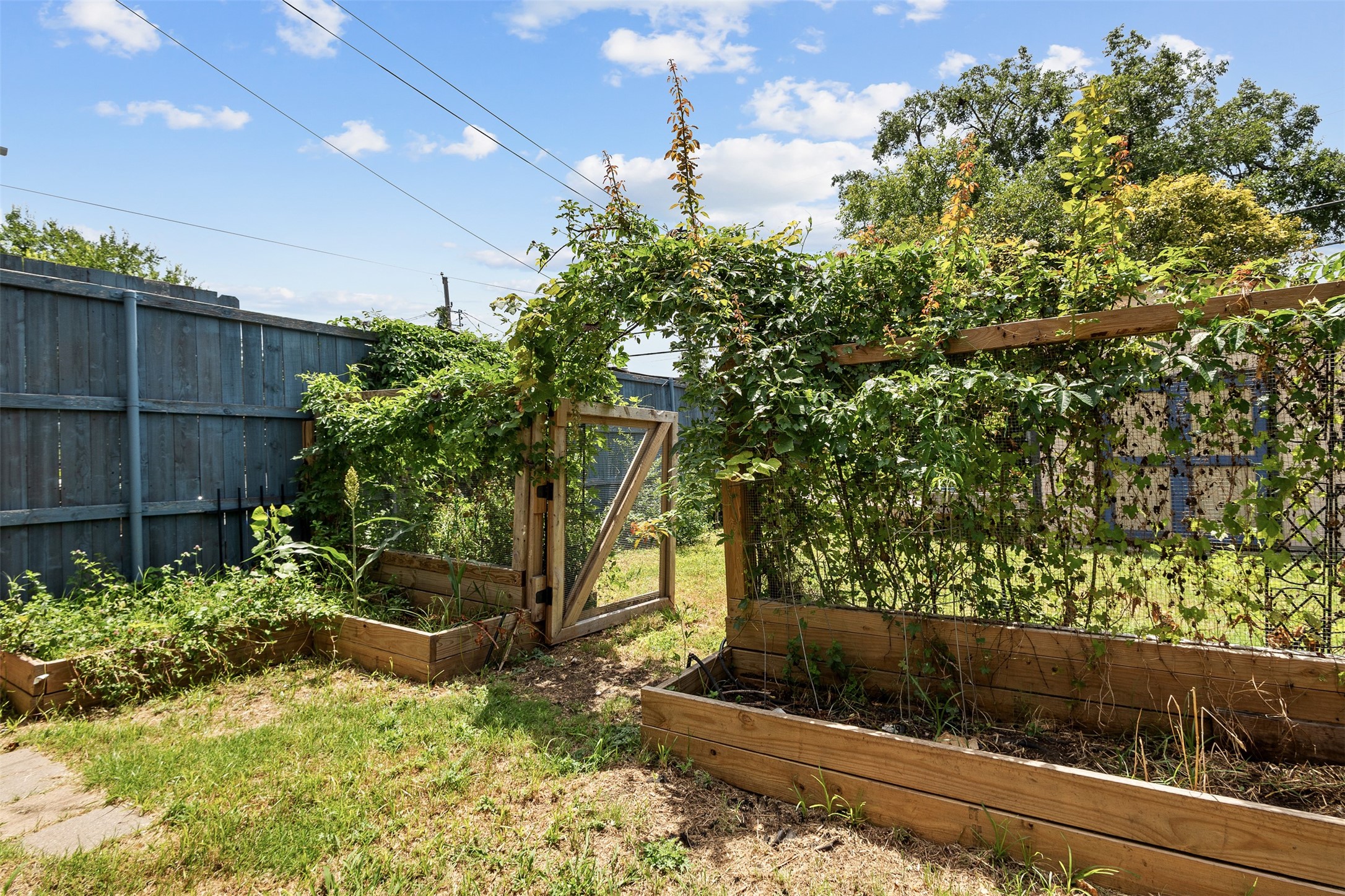 1902 Norfolk Avenue Dallas TX 75203