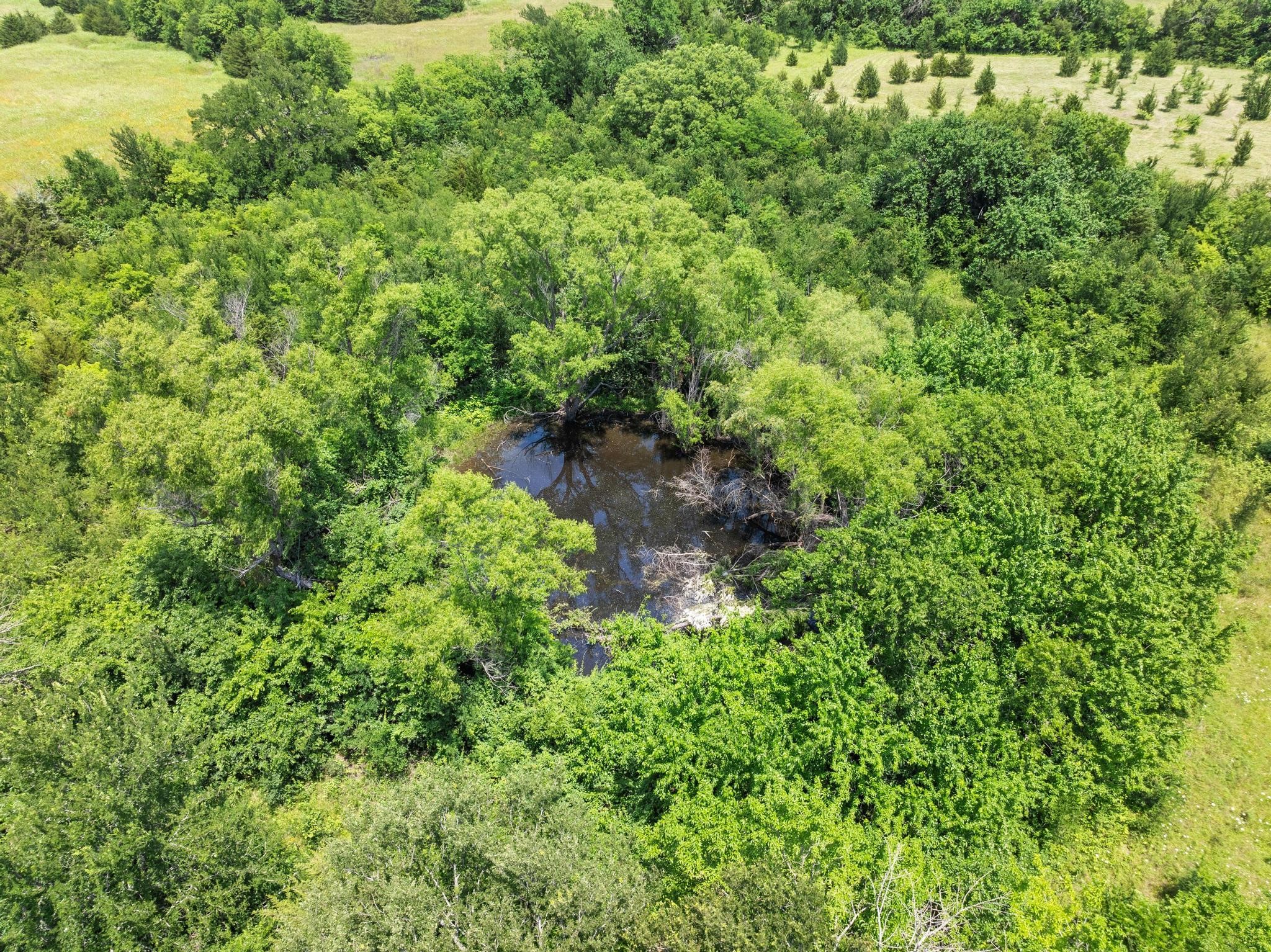 516 County Road 27450 Honey Grove TX 75446