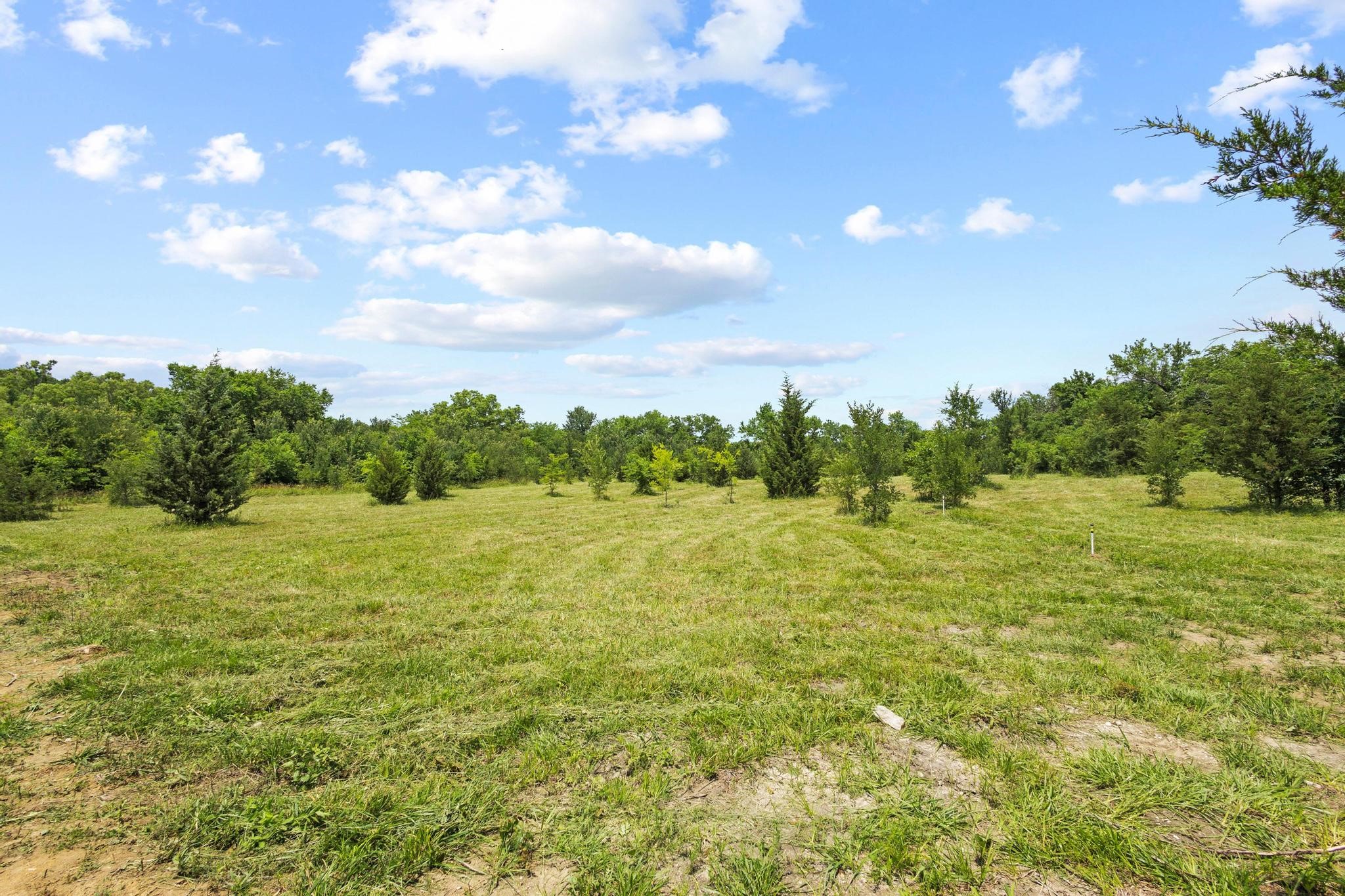516 County Road 27450 Honey Grove TX 75446