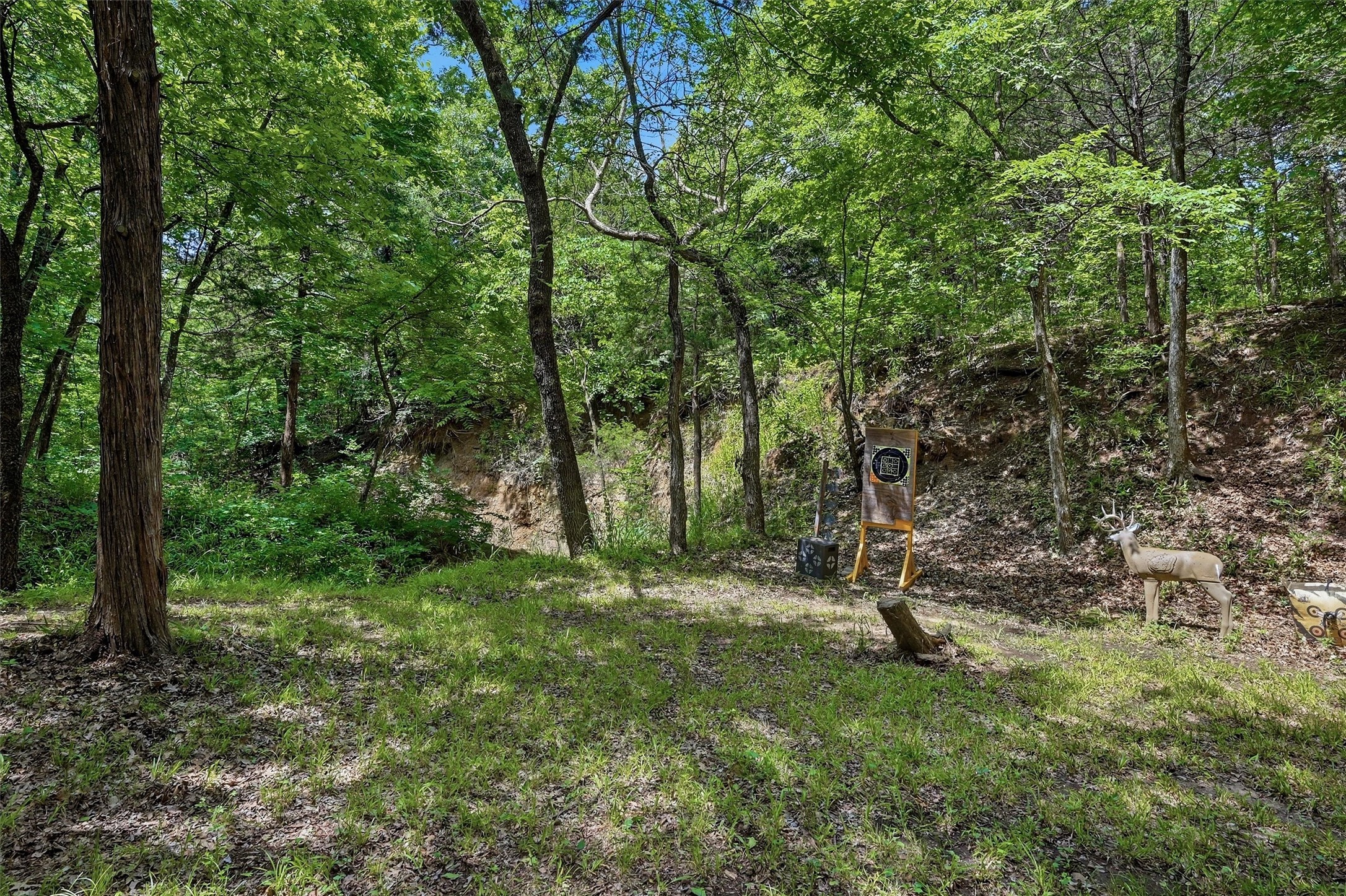 3958 Ranch Road Whitesboro TX 76273