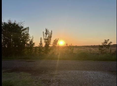 849 County Road 4130 Bonham TX 75418