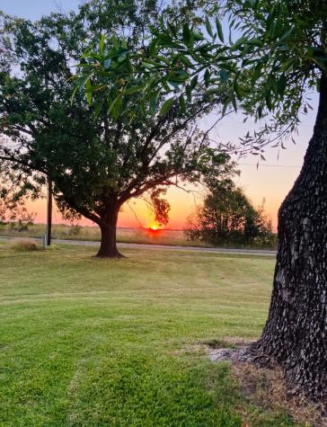 849 County Road 4130 Bonham TX 75418