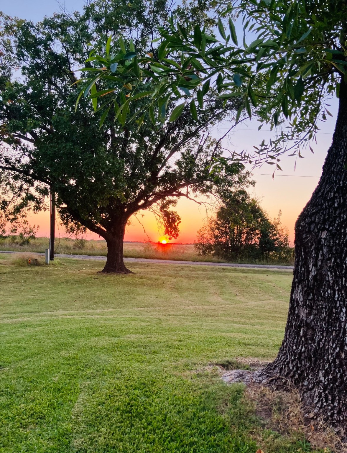 849 County Road 4130 Bonham TX 75418