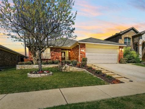 1813 Shoebill Drive Little Elm TX 75068
