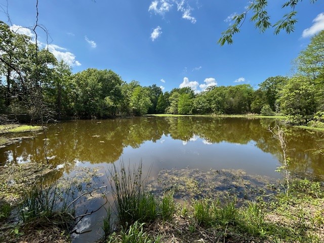 6431 Payne Springs Place Mabank TX 75156