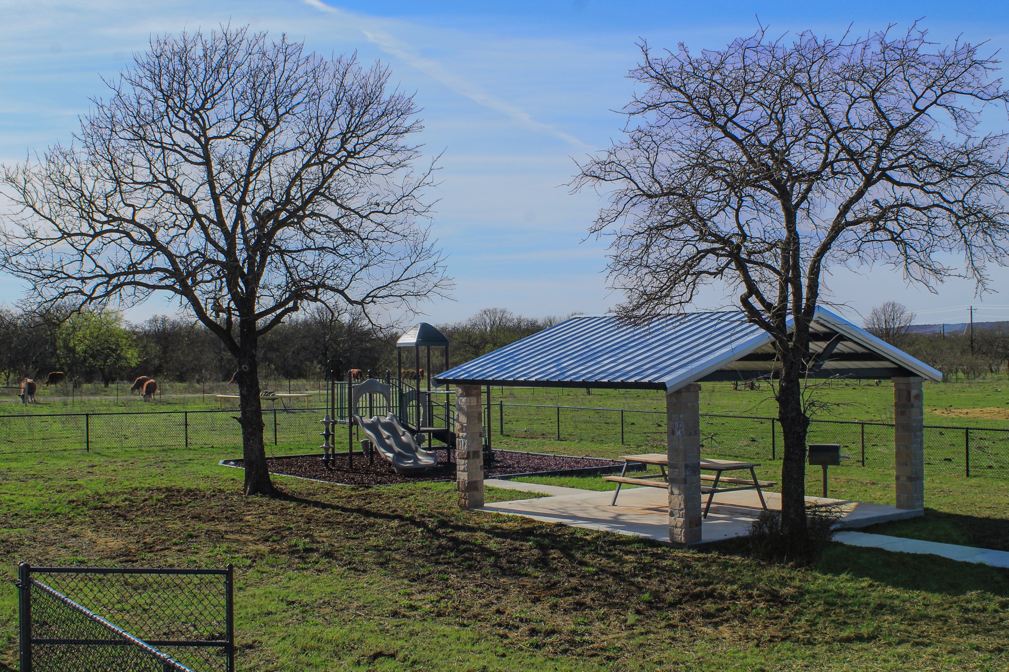 1070 Paradise Oak Graford TX 76449