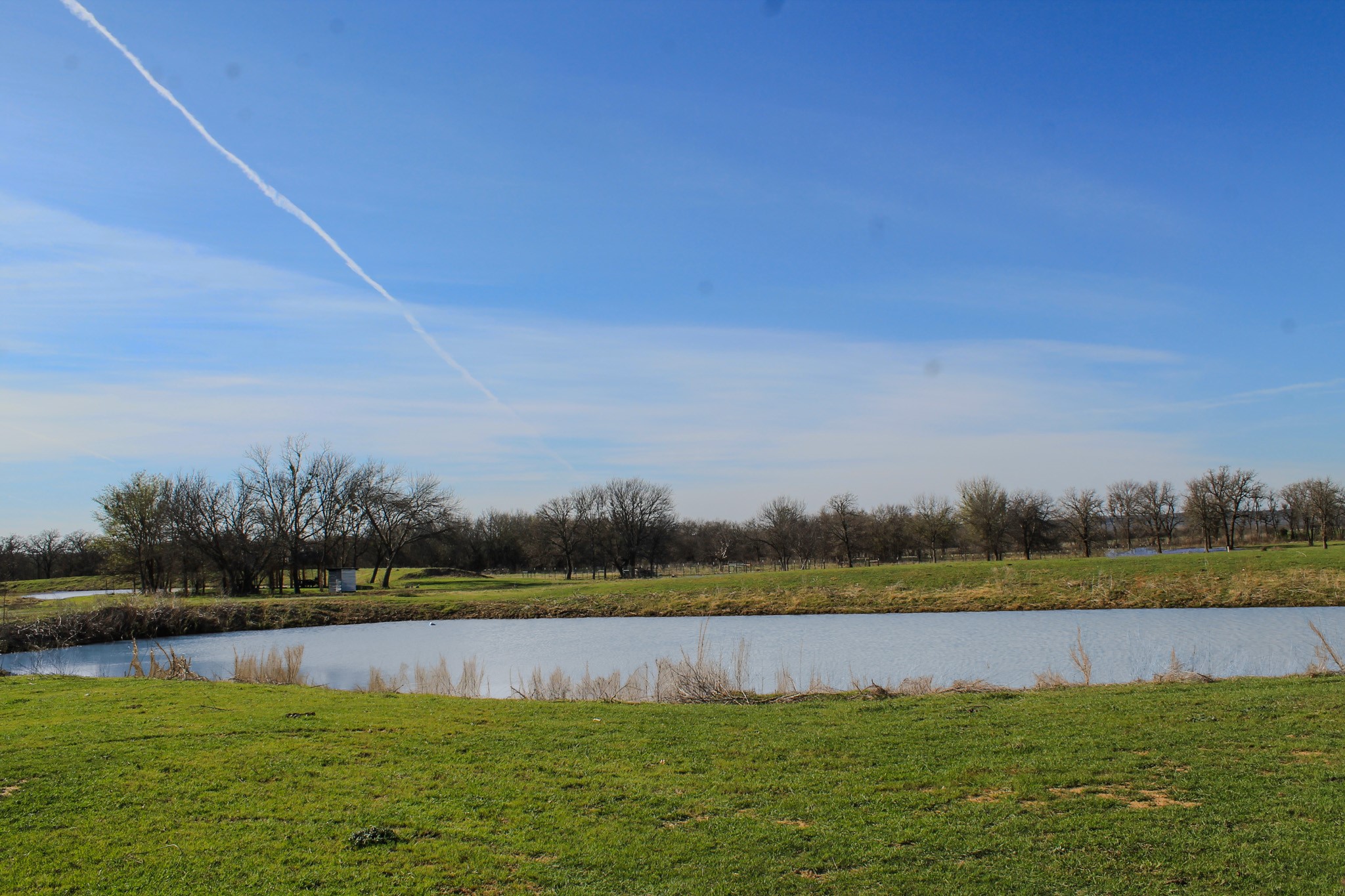 1070 Paradise Oak Graford TX 76449