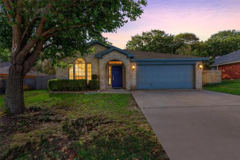 317 Alpine Drive Weatherford TX 76086