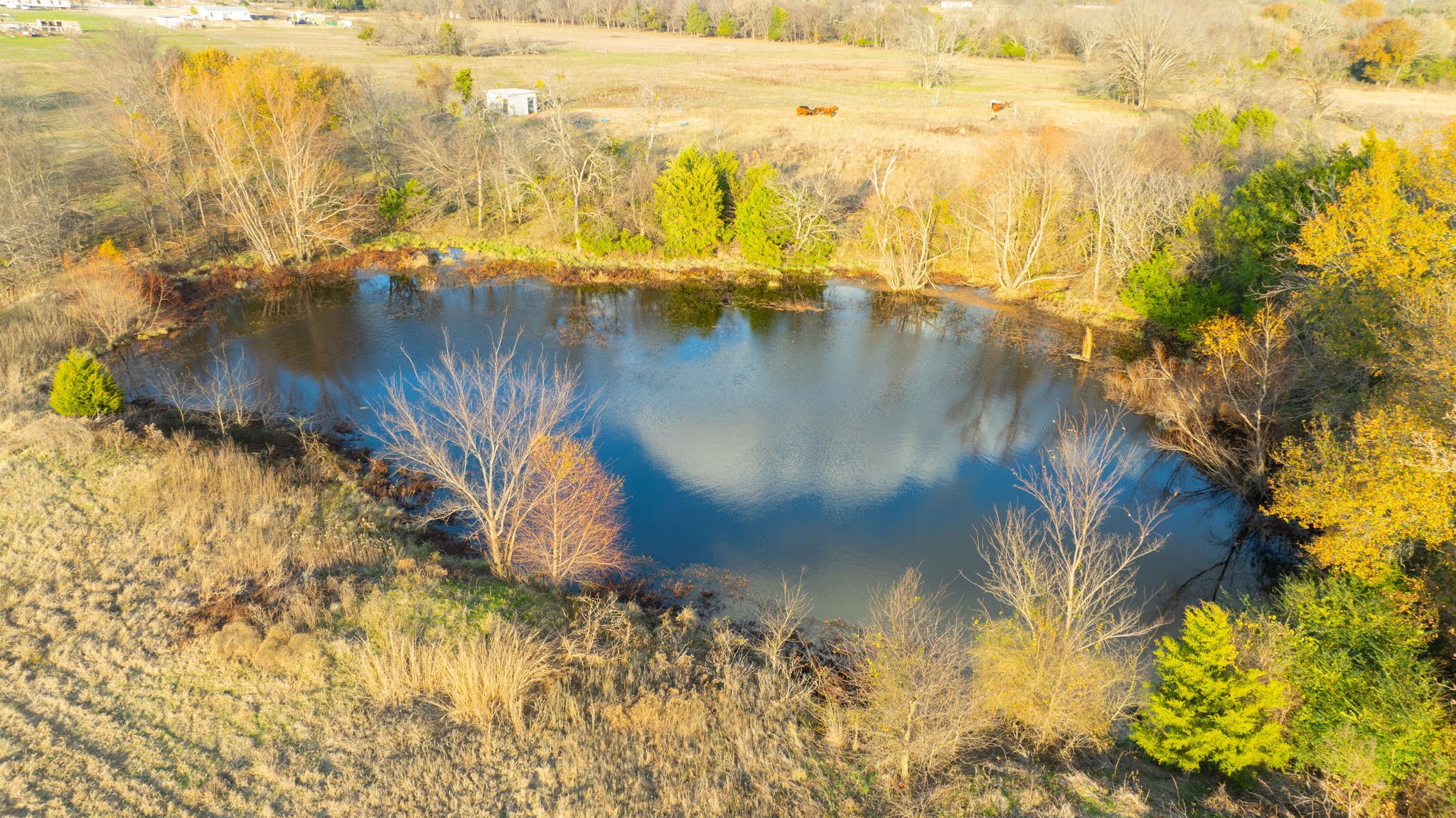 1495 Vz Cr 3908 Wills Point TX 75169
