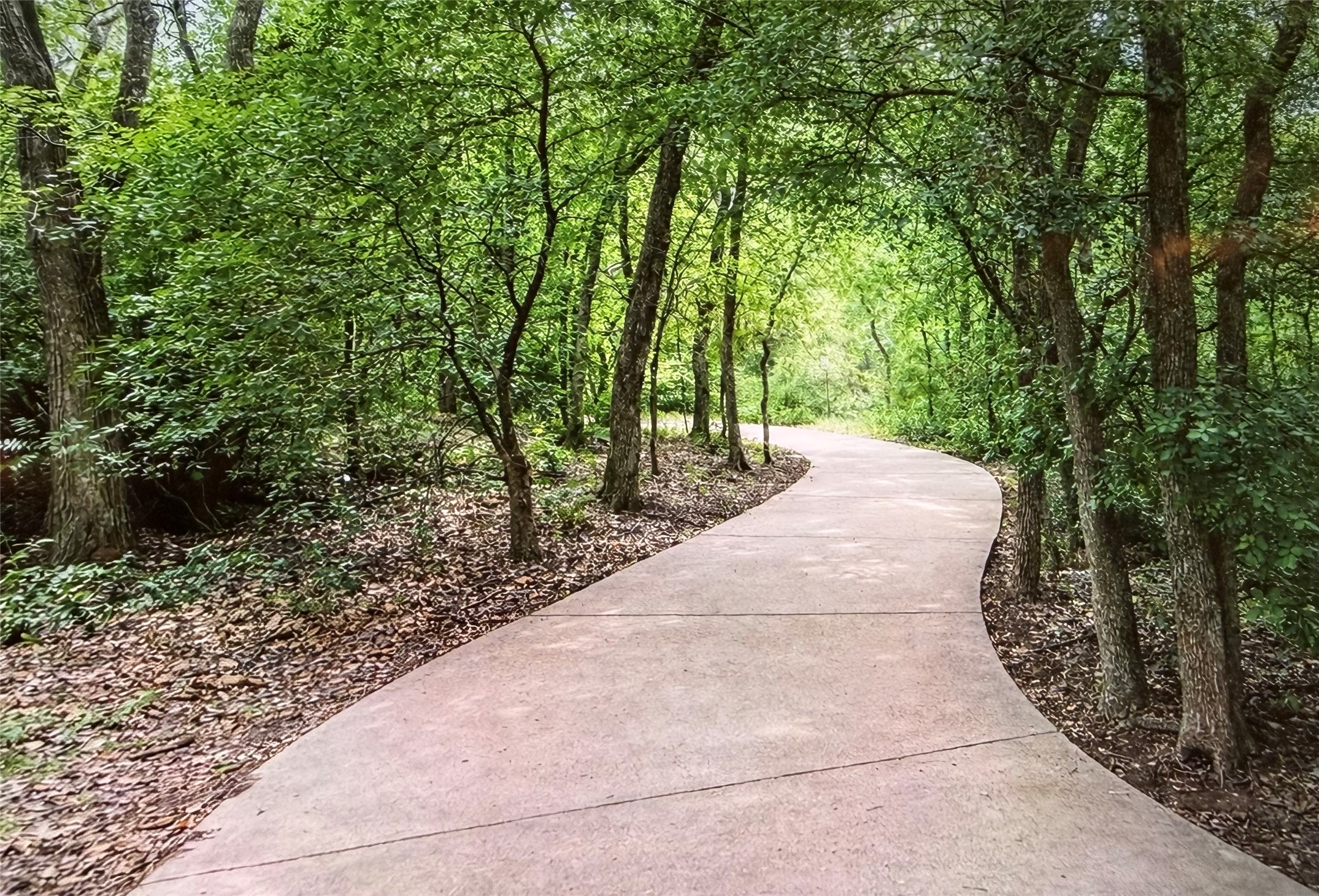 6705 Marie Weldon Court Arlington TX 76001
