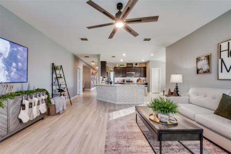 1317 Renoir Drive Little Elm TX 75068