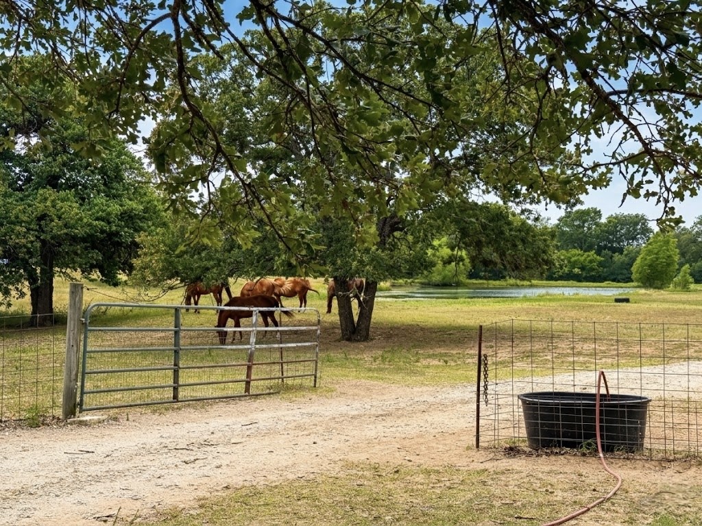 14643 County Road 4060 Scurry TX 75158