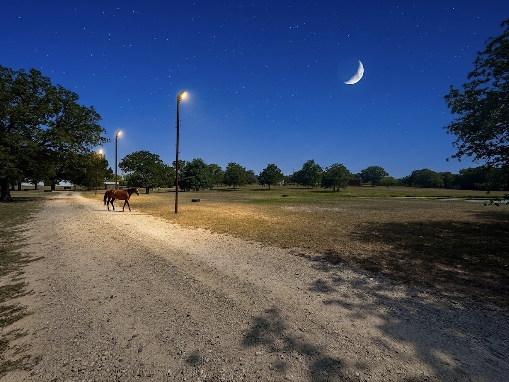14643 County Road 4060 Scurry TX 75158
