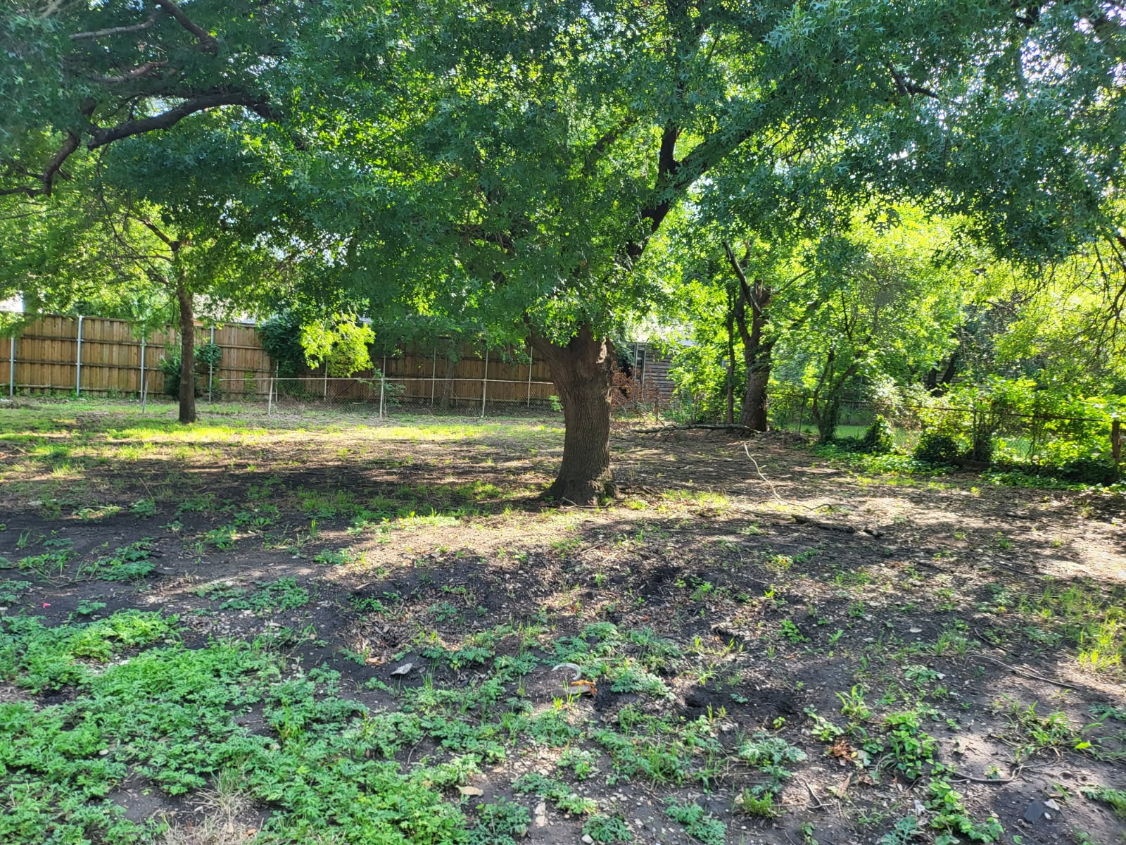 412 Ellis Street Allen TX 75002