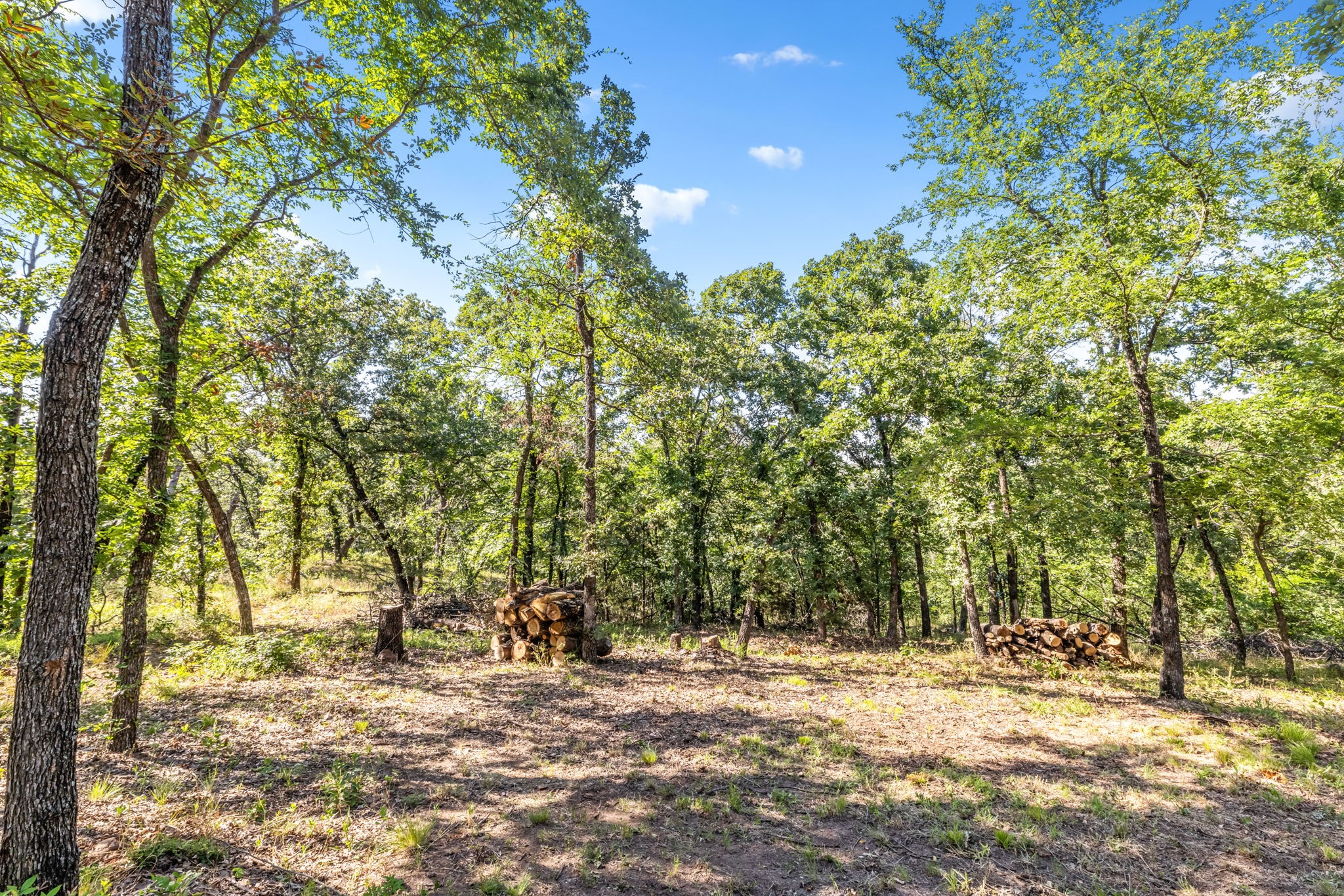 1020 Oak View Drive Oak Point TX 75068